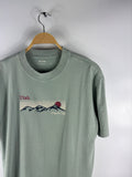 Hollister T-shirt