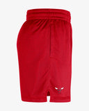 Chicago Bulls Men's Nike NBA Shorts