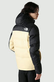 the north face jacket