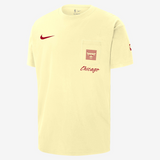 Chicago Bulls Max90 Men's Nike NBA Short-Sleeve Pocket T-Shirt