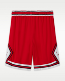 Chicago Bulls Icon Edition Men's Nike NBA Swingman Shorts