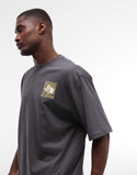 The North Face Sun backprint oversized t-shirt in grey.