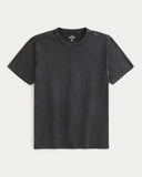 Hollister T shirt