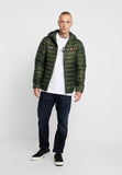 LOMBARDY - Winter jacket - rosin