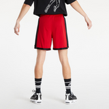 Air Jordan Mesh Short