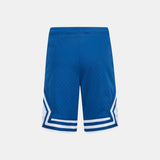 NIKE Dri-FIT Air Mesh Shorts