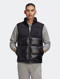 DOWN REGEN GILET
