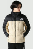 the north face jacket