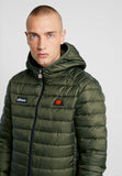 LOMBARDY - Winter jacket - rosin