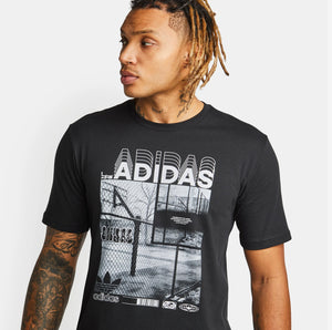 adidas Graphic T SHirt