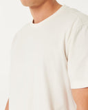 Hollister T shirt