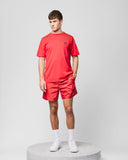Weekend offender Stacks Swim Short Watermelon