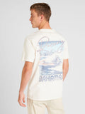 Hollister T SHIRT