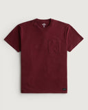 Hollister T shirt