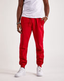MENS JORDAN ESSENTIALS FLEECE PANTS
