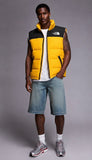 THE NORTH FACE THE HIMALAYAN VEST Himalayan Down Vest