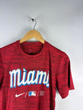 Nike NFL T-shirt miami