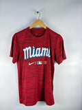 Nike NFL T-shirt miami