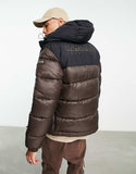 Napapijri a-hornelen puffer jacket in brown