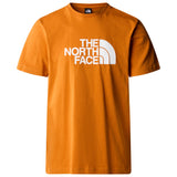 The north face T shirt