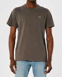 Hollister T shirt