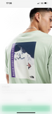 The North Face Snowboard retro back graphic t-shirt in sage green