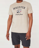 Hollister T-shirt