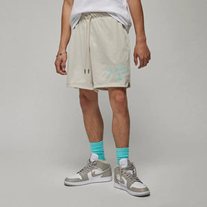Air Jordan Flight Collection Essentials Mesh Shorts Light