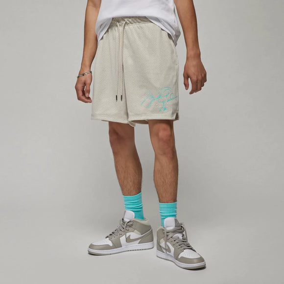Air Jordan Flight Collection Essentials Mesh Shorts Light