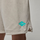 Air Jordan Flight Collection Essentials Mesh Shorts Light