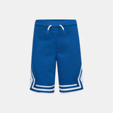 NIKE Dri-FIT Air Mesh Shorts