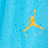 Jordan Jumpman Cement Swim Shorts