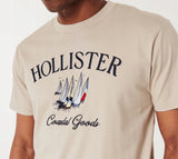 Hollister T-shirt