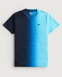 Hollister T shirt