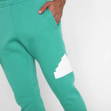 Adidas Future Icon Bos Men's Pants - Green