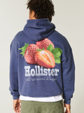 Hollister Blue Graphic Print Hoodie