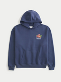 Hollister Blue Graphic Print Hoodie