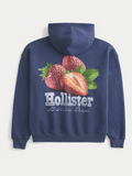 Hollister Blue Graphic Print Hoodie