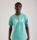 ENSEMBLE AIR JORDAN FLIGHT MVP