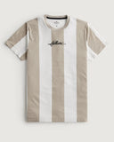 Hollister T shirt