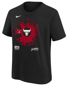 Chicago Bulls Fade Max 90 T-Shirt