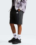 The north face shorts