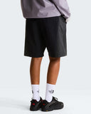 The north face shorts
