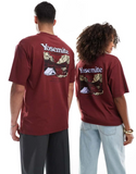 The North Face Yosemite Postcard backprint oversized t-shirt in burgundy