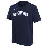 Chicago Cubs Nike City Connect T-Shirt - Youth