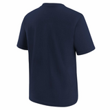 Chicago Cubs Nike City Connect T-Shirt - Youth