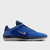 Mens Nike Sb Vertebrae Trainers In Blue
