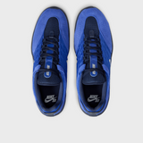 Mens Nike Sb Vertebrae Trainers In Blue