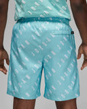 Nike Air jordan  Shorts