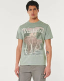 Hollister Relaxed Thailand Elephants Graphic Tee in Green